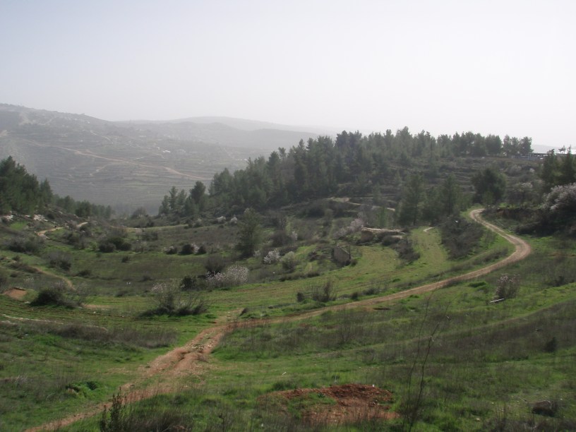 Save Jerusalem's Mountains JNF Forest Emek Ha'lavan
